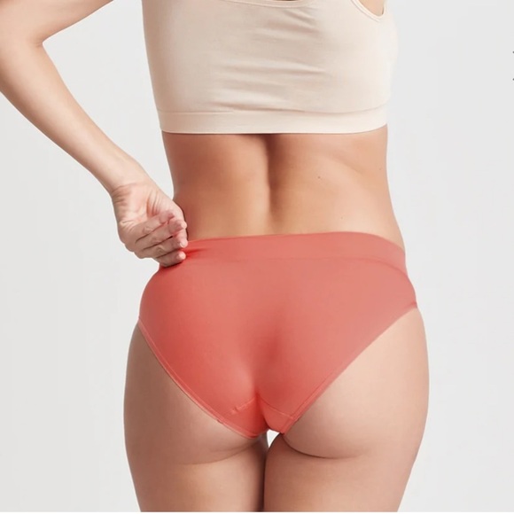 NWT YUMMIE BURNT SIENNA 
 BIKINI UNDERWEAR - Picture 2 of 4